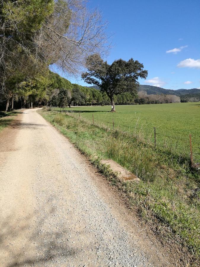 Finca Rural Labriega Del Hueznar Cazalla de la Sierra Exterior foto