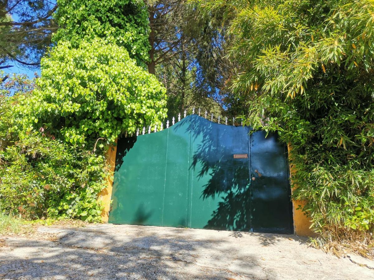 Finca Rural Labriega Del Hueznar Cazalla de la Sierra Exterior foto